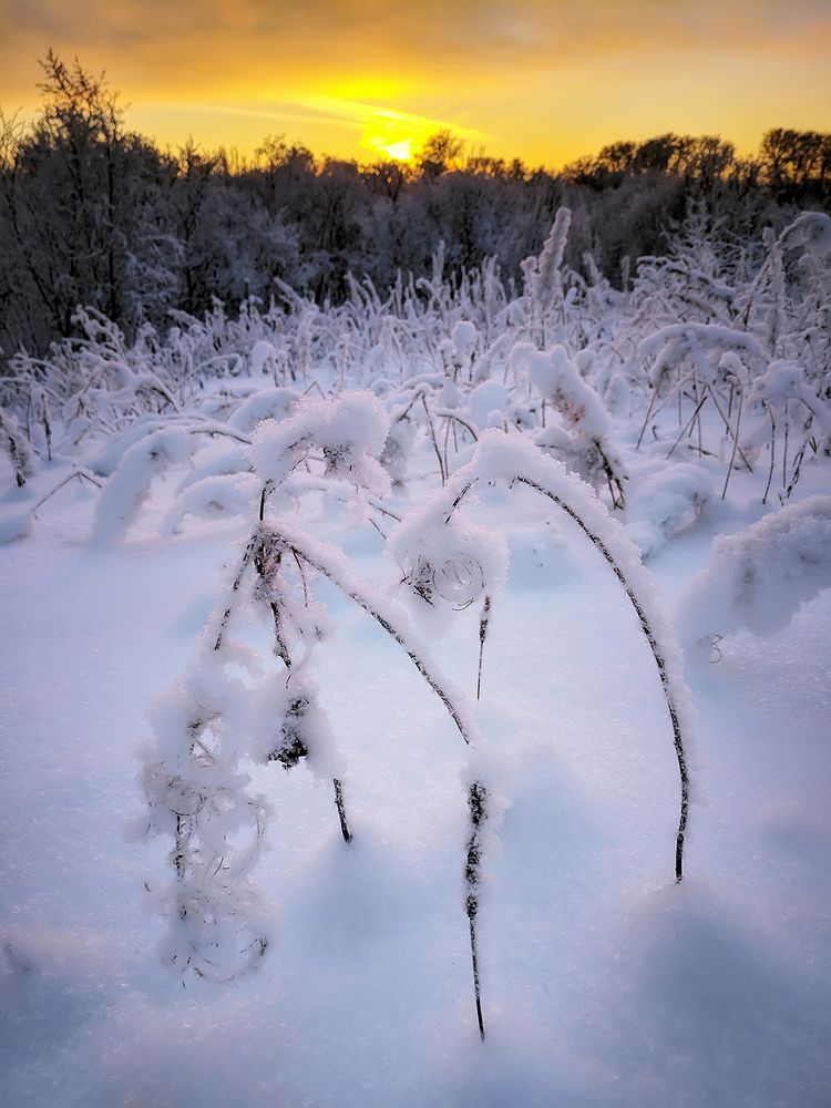 Поклонясь закату