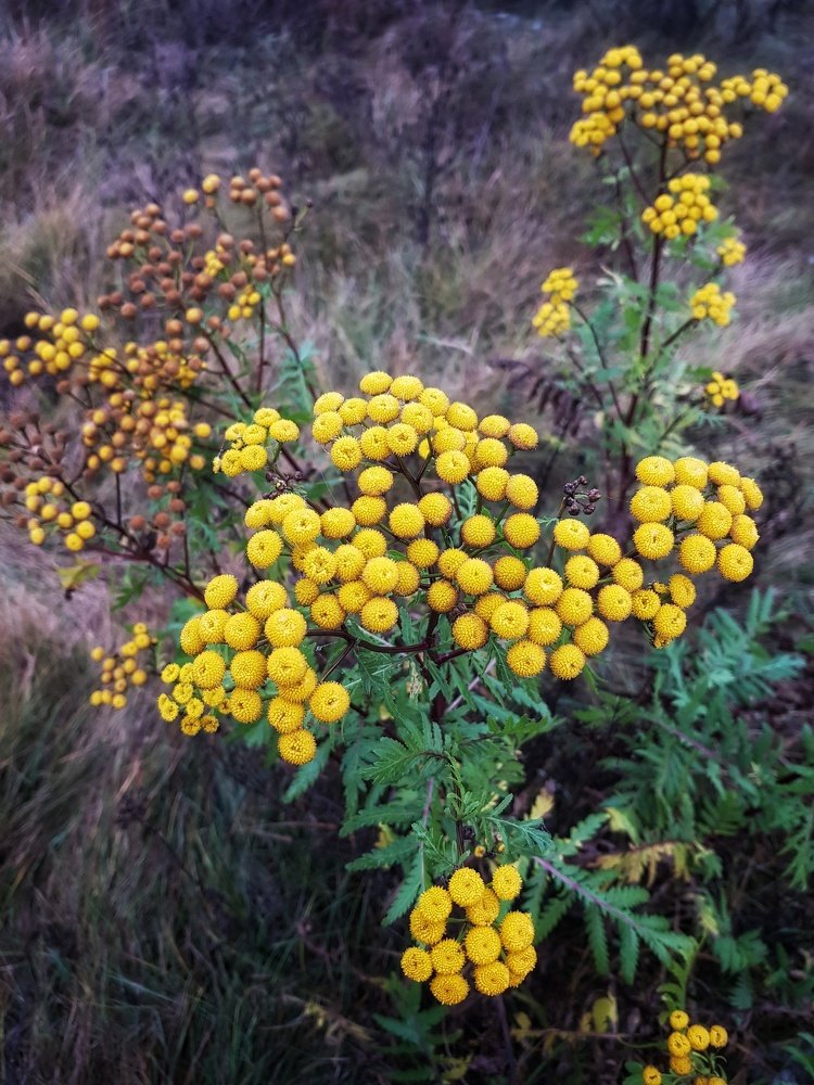 Photograph by Marcin Sokolowski - maarew