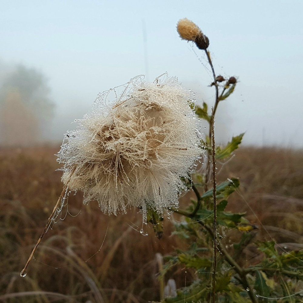 Photograph by Marcin Sokolowski - maarew