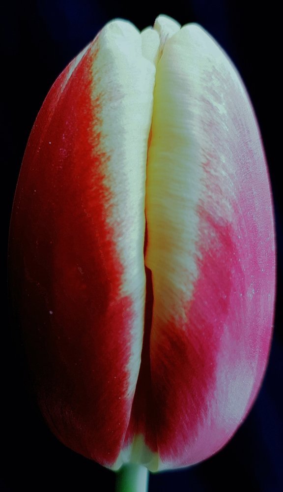 Photograph by Marcin Sokolowski - maarew