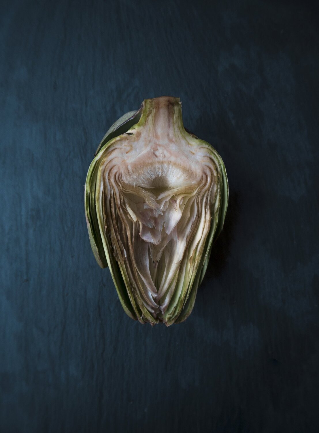 Artichoke / Alcachofa