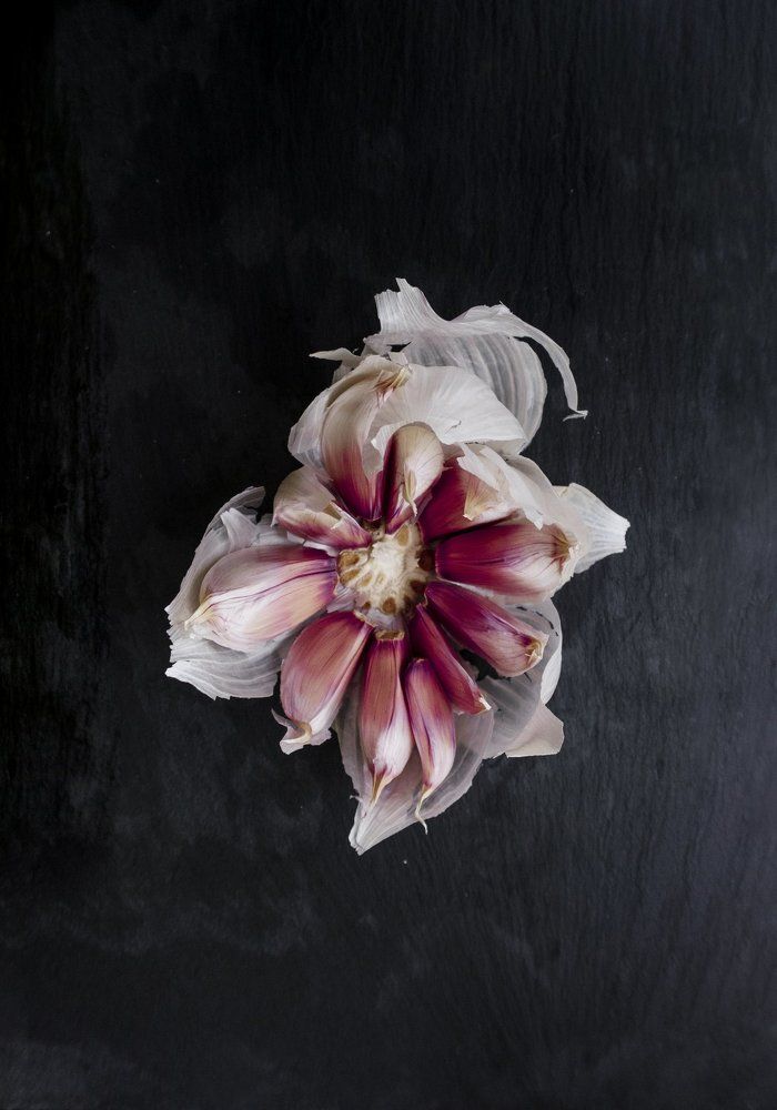 Garlic / Ajo