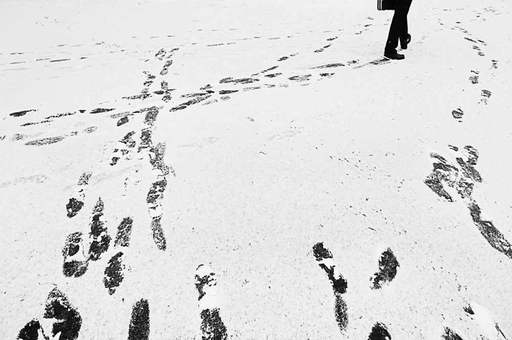 Photograph by Станислав Ситников