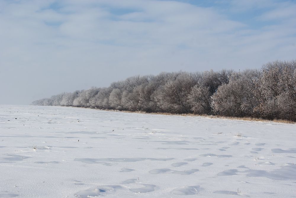 Photograph by Игорь Мальцев