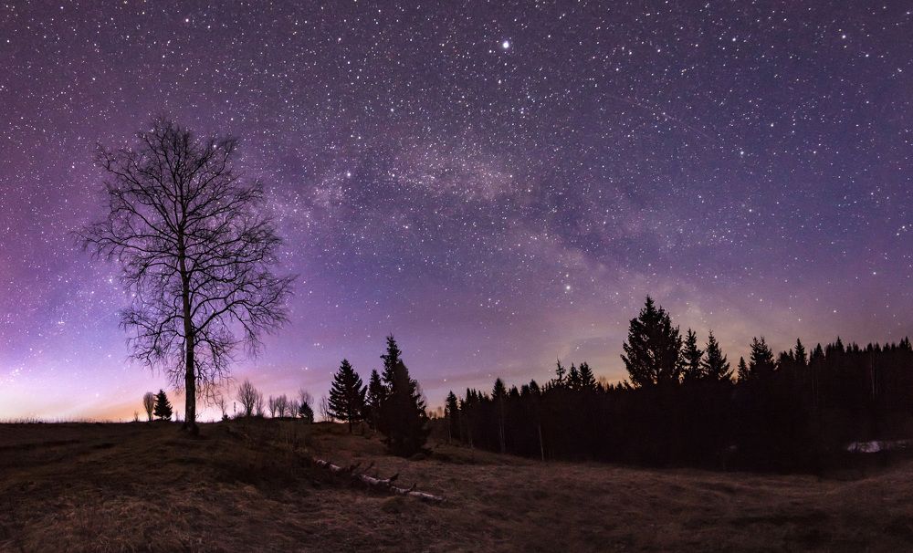 рядом с Неведимкой