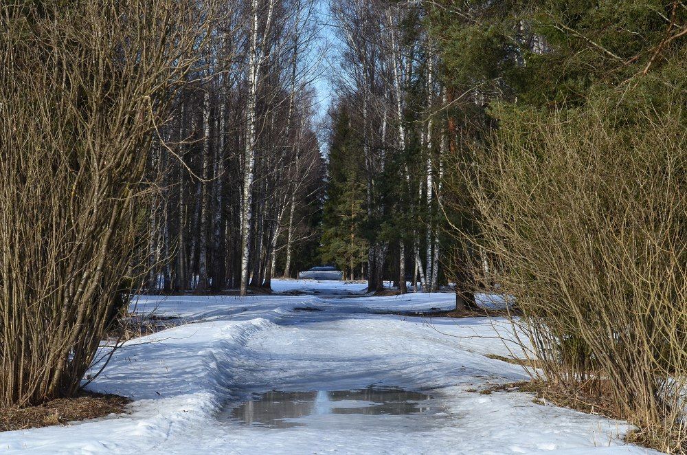 Photograph by Алексей Фомичев