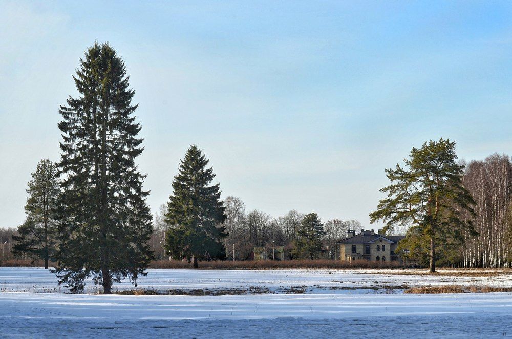 Photograph by Алексей Фомичев