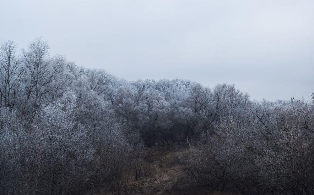 Photograph by Игорь Мальцев