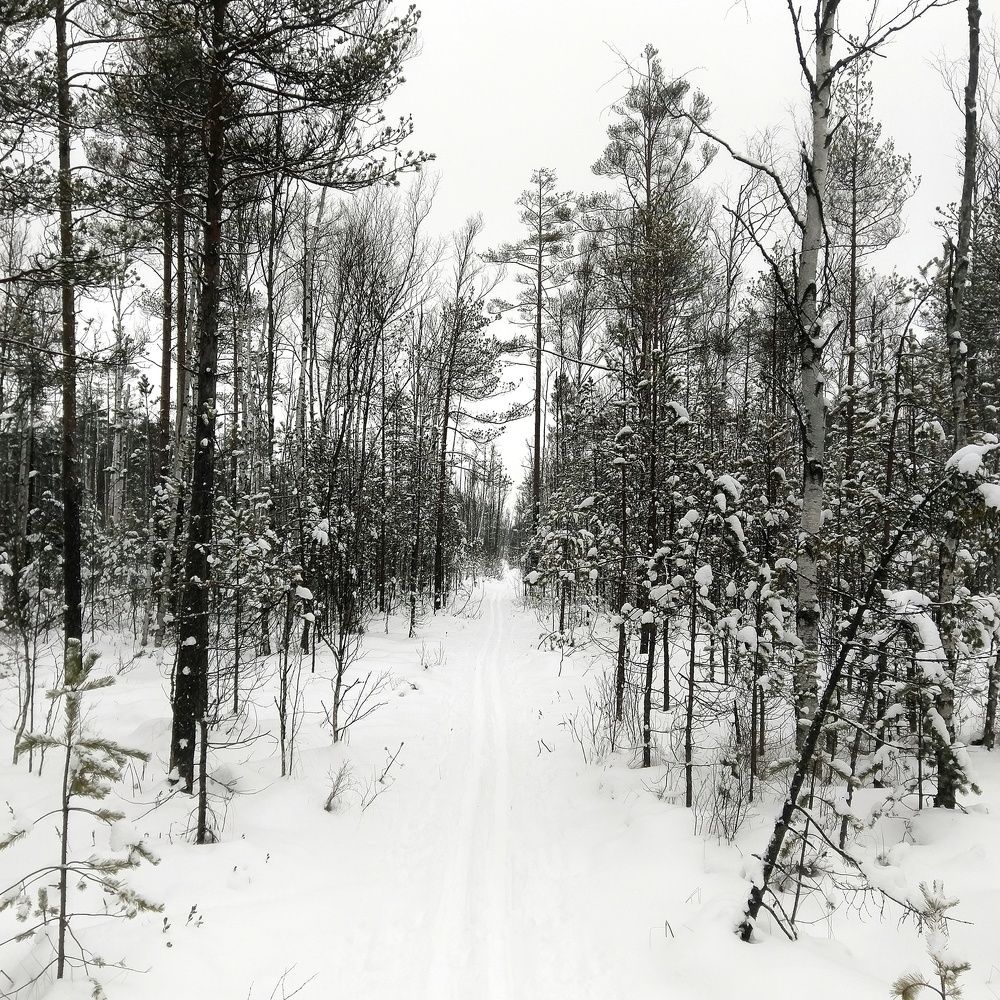 Photograph by Алексей Фомичев