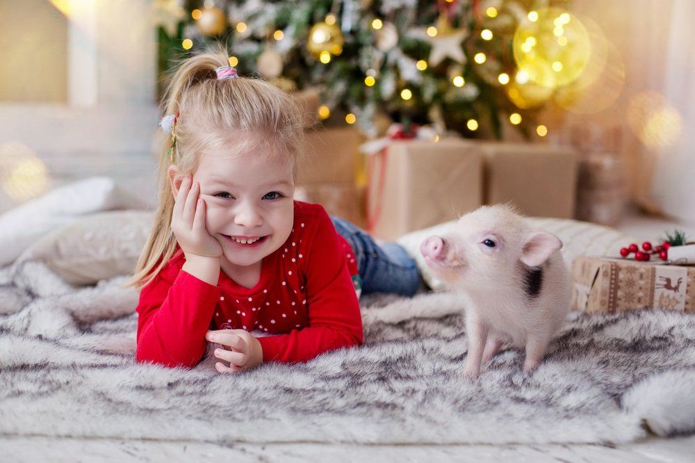 Photograph by Кристина Кравченко