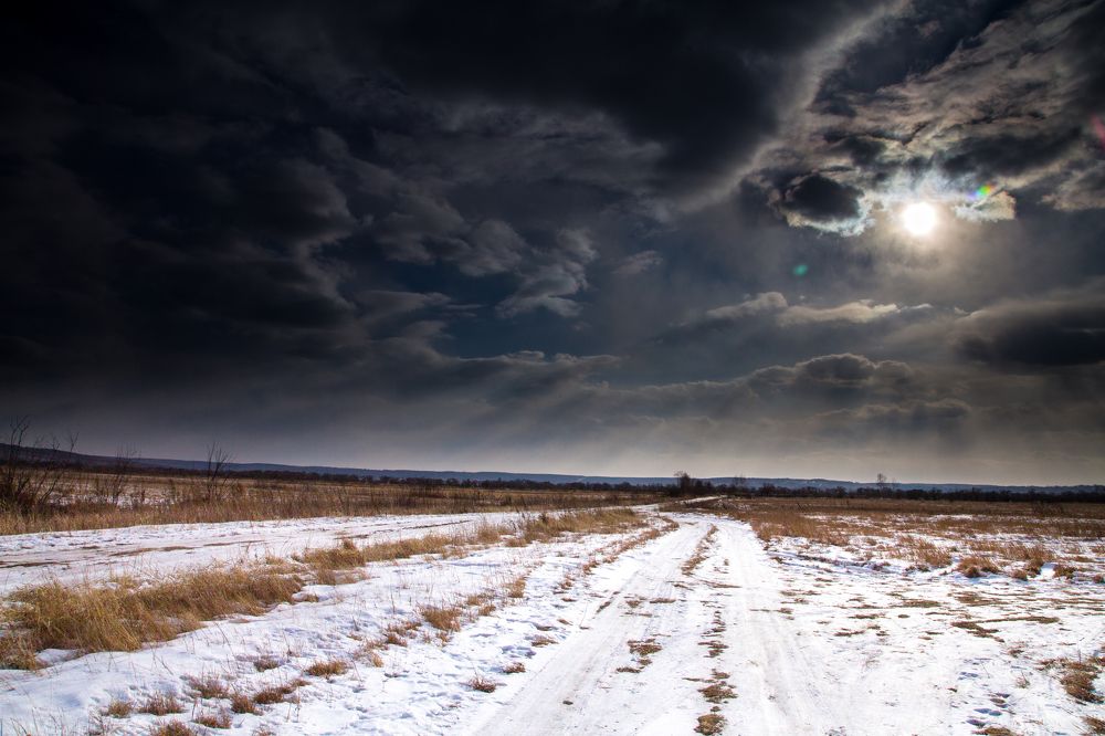 Полевая зимняя дорога