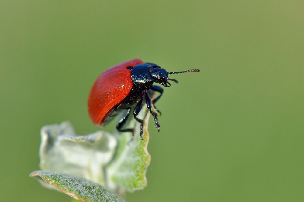 Photograph by Людмила Шалина