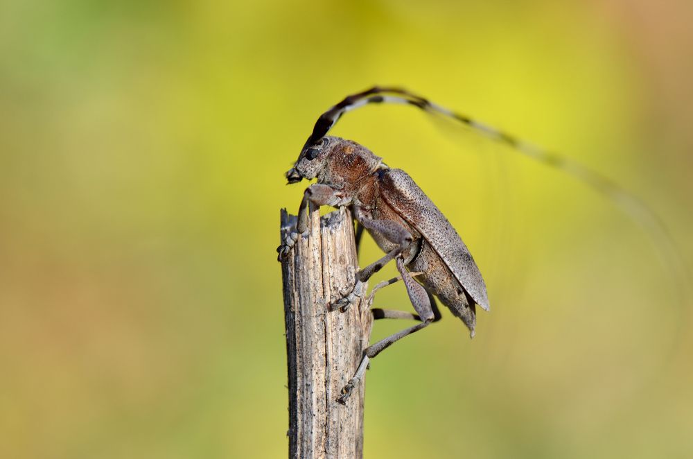 Photograph by Людмила Шалина