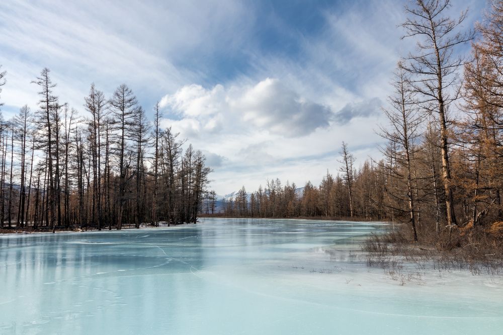 Photograph by Сергей Марценович