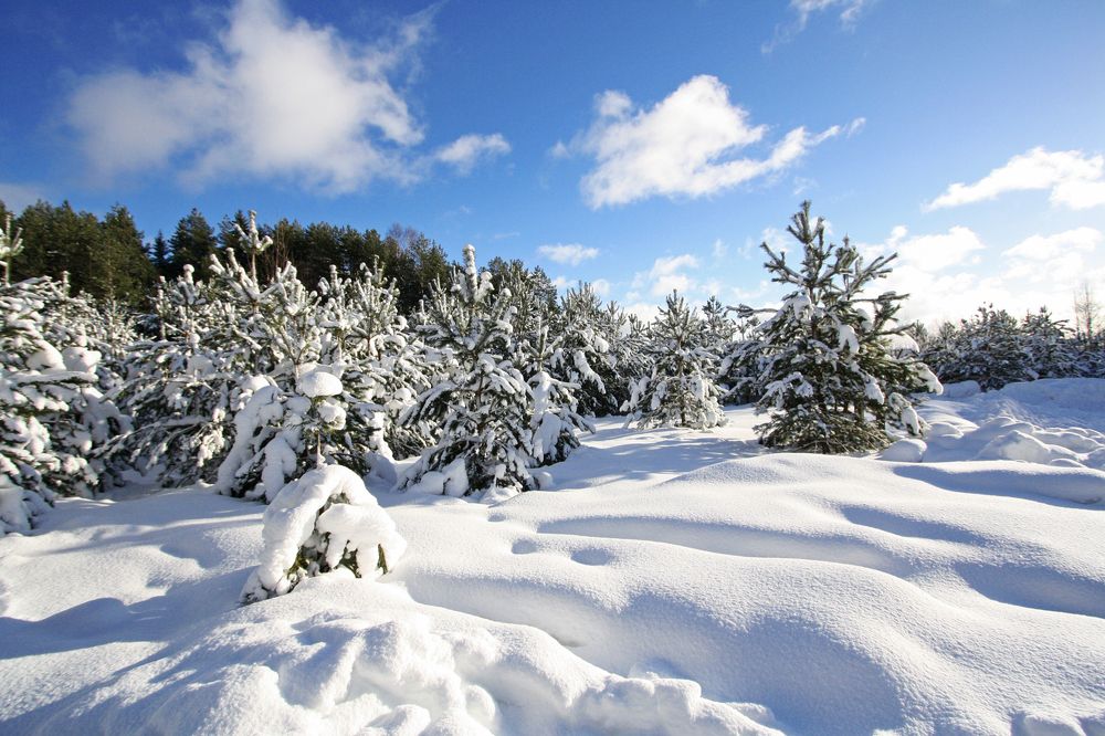 Солнечный денек.