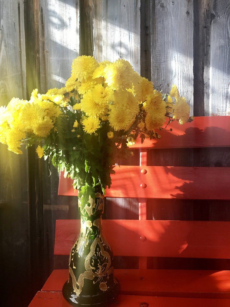 Хризантемы в солнечном свете!