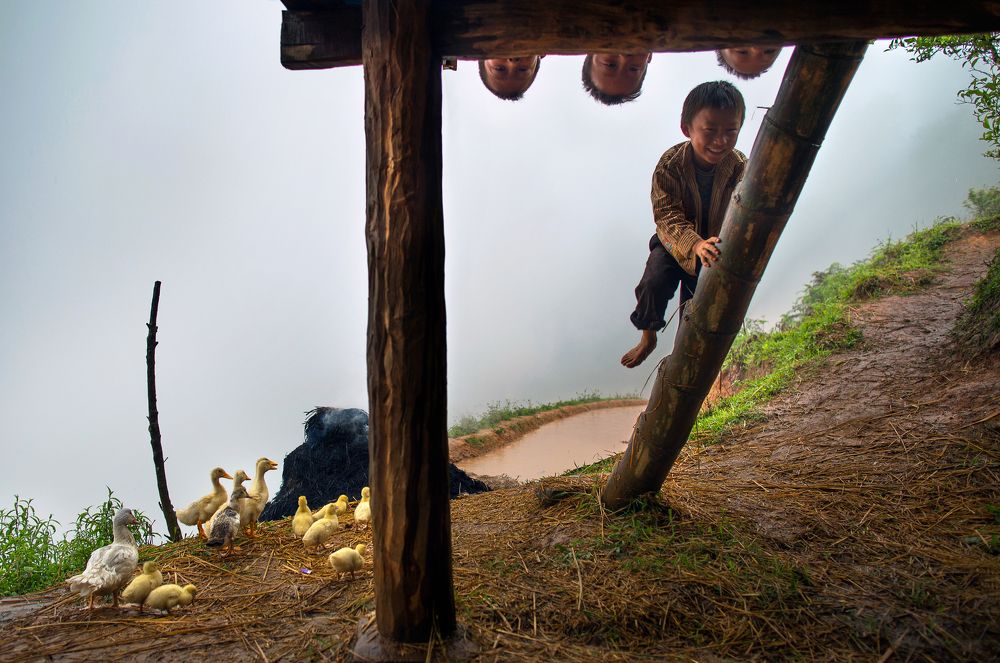 The child and the baby duck