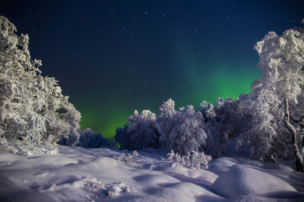 Северная сказка