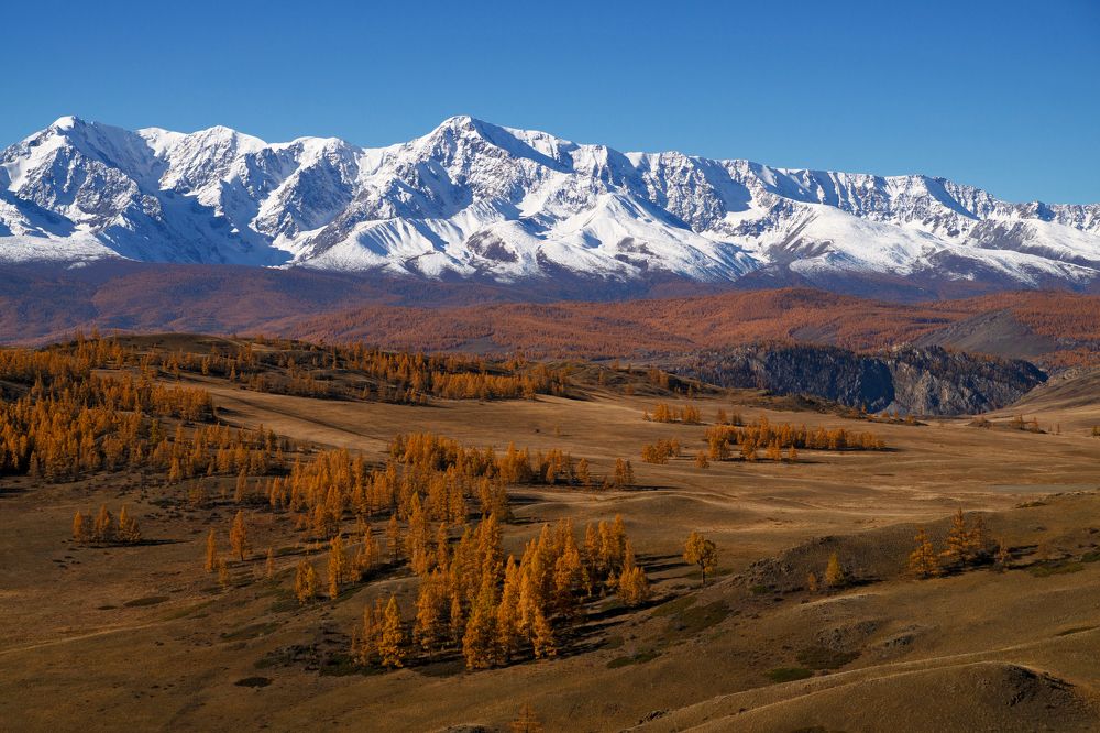 Золотой Алтай.