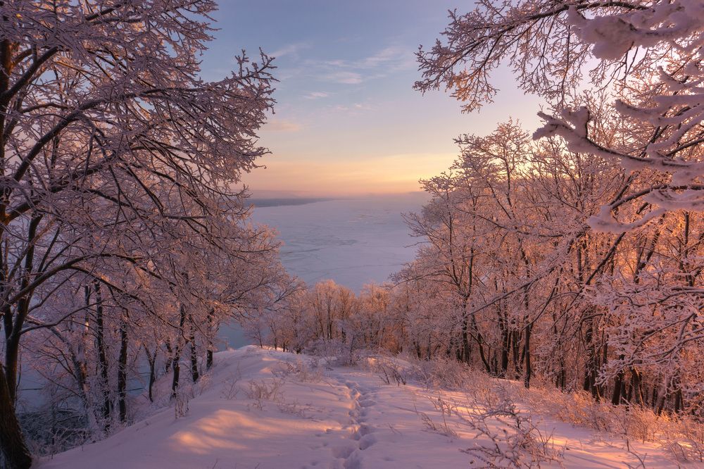 Зимний рассвет