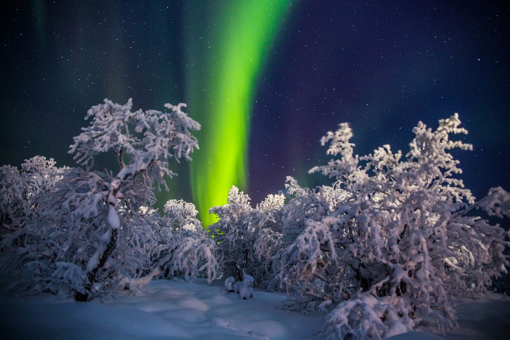 В оковах мороза