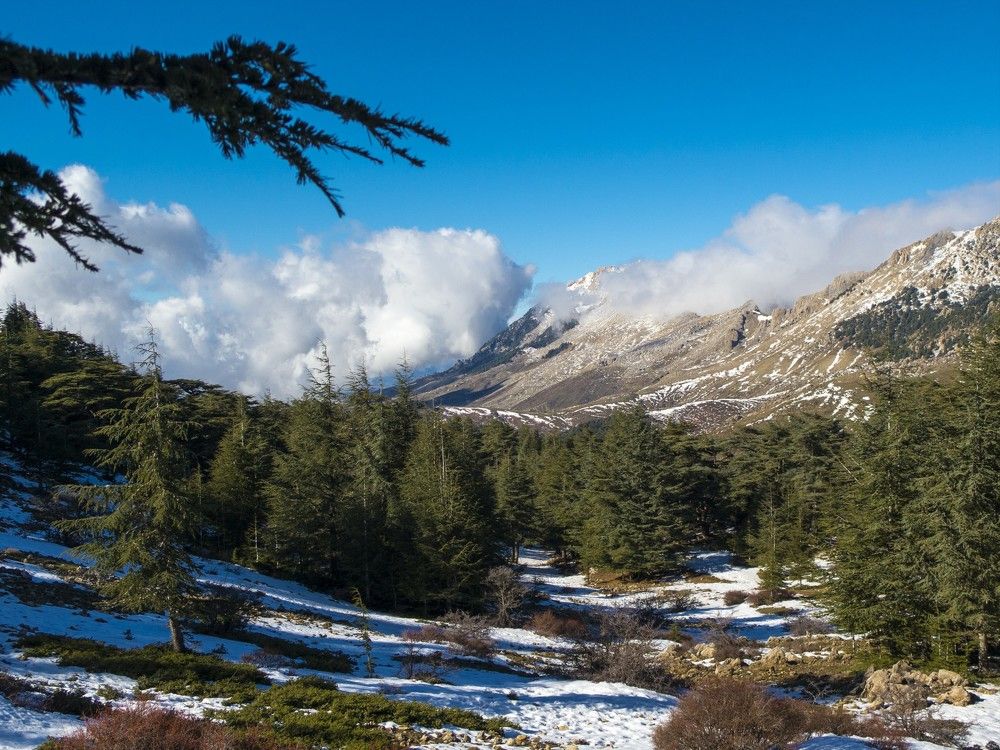 sur le mont djurdjura
