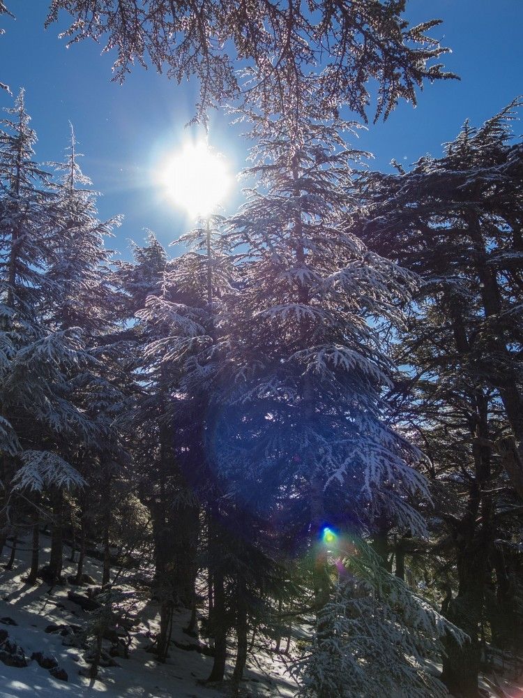 au rayon du soleil