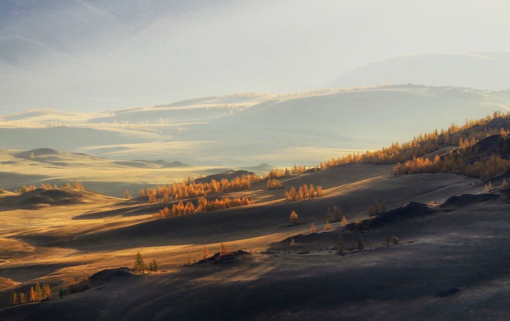 Утро в Курайской степи