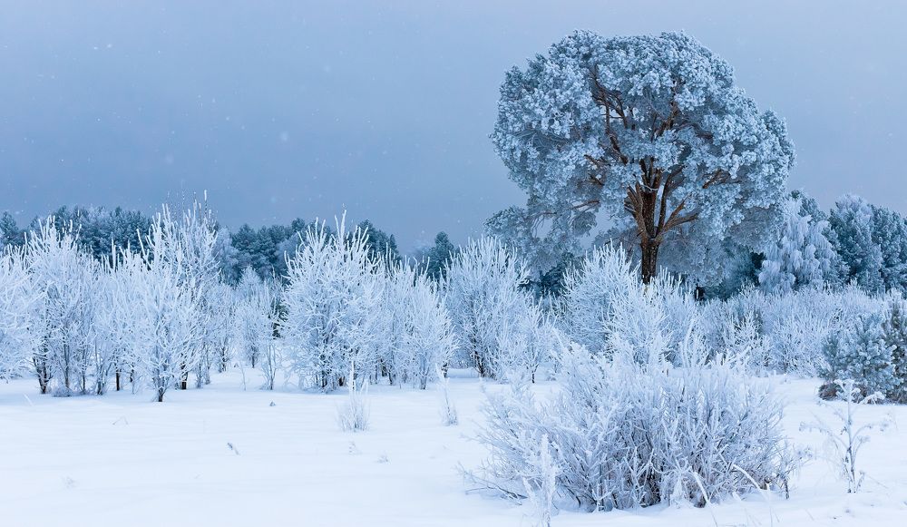 Уральская зима