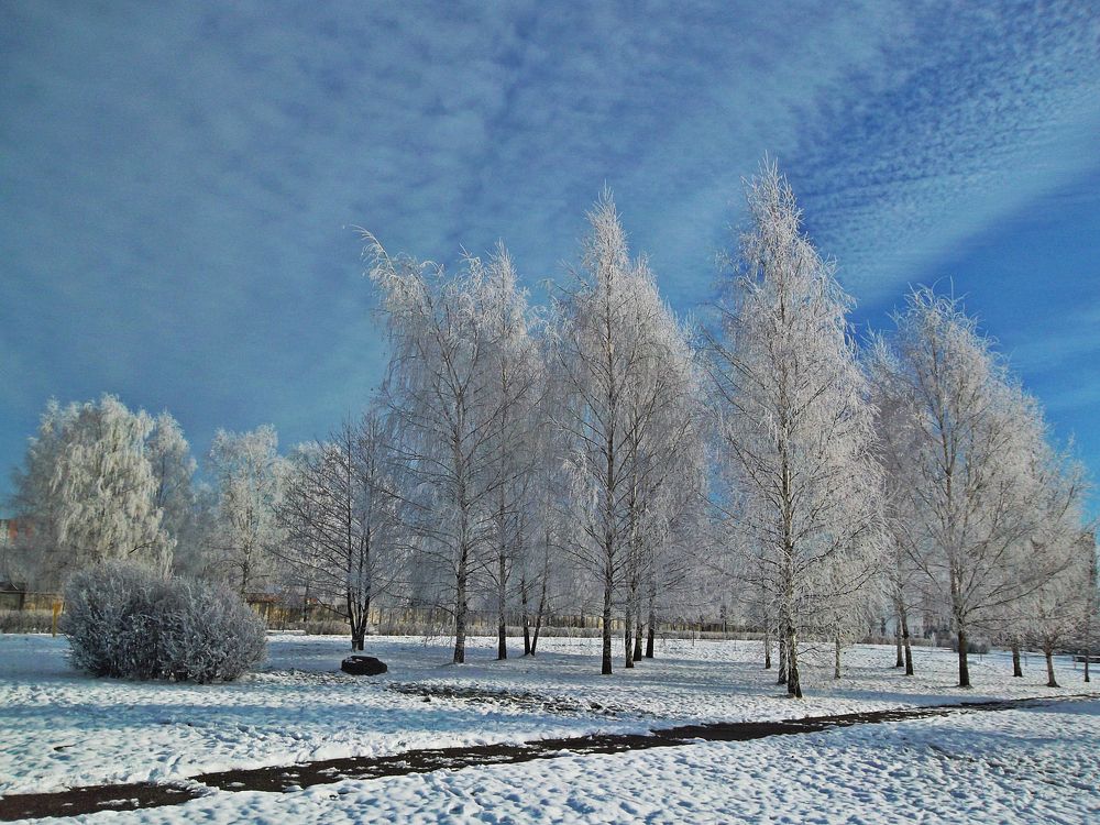 Photograph by Наталья Цуран