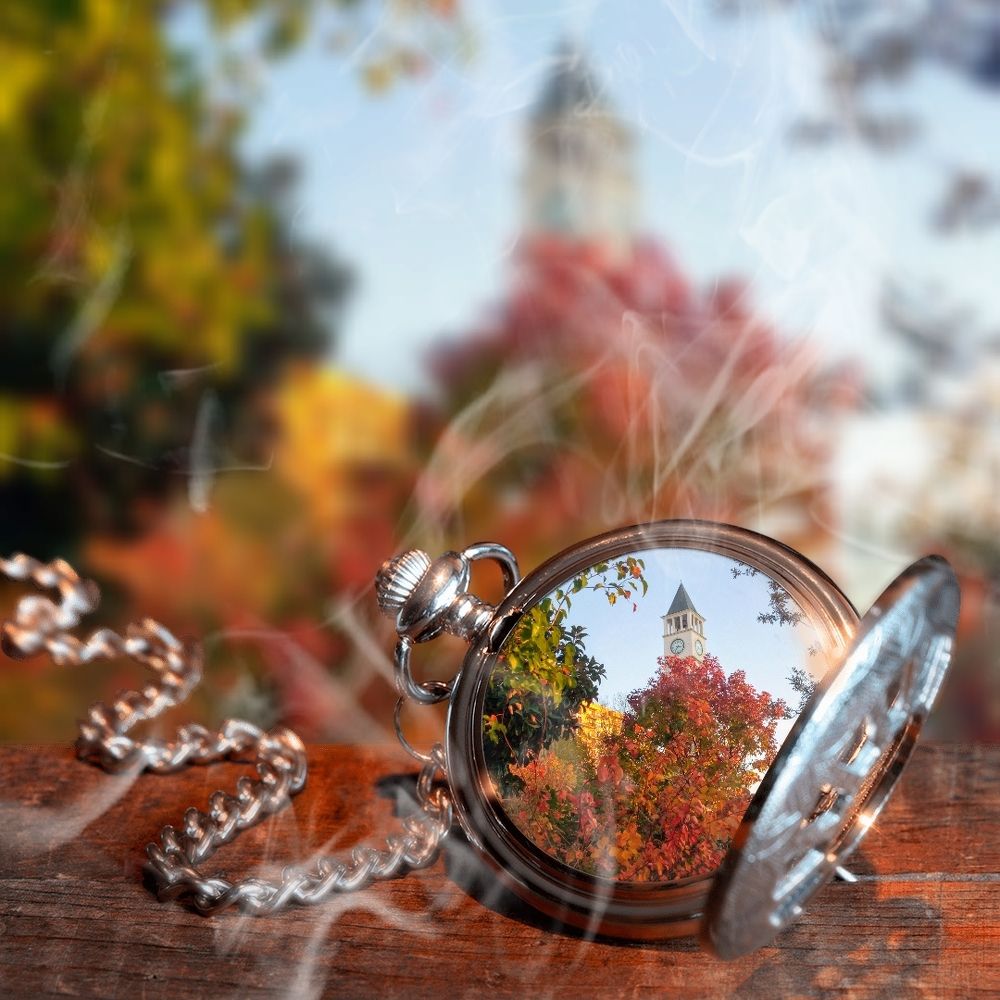 Photograph by Dritan Zaimi