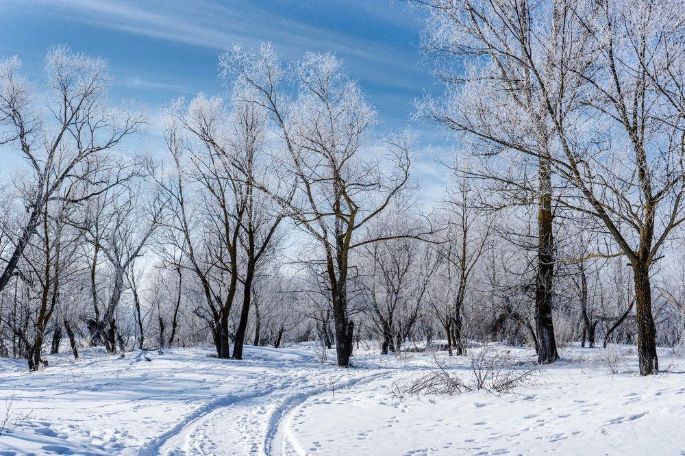 дорога в сказочный лес