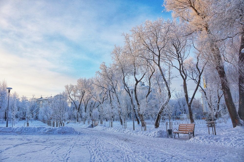 Зима в городе