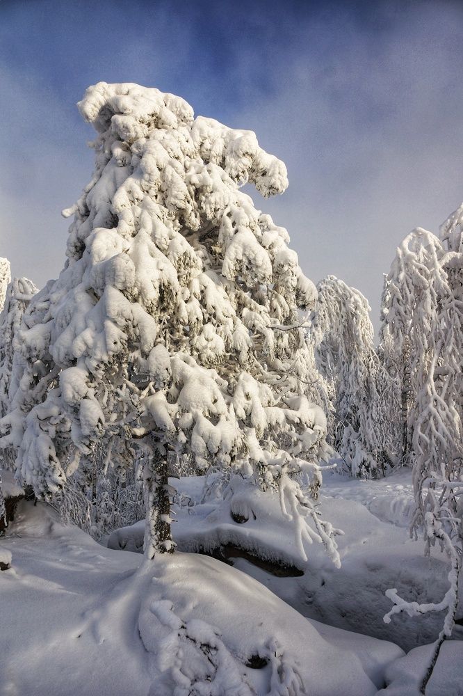 Зима в Каменном городе