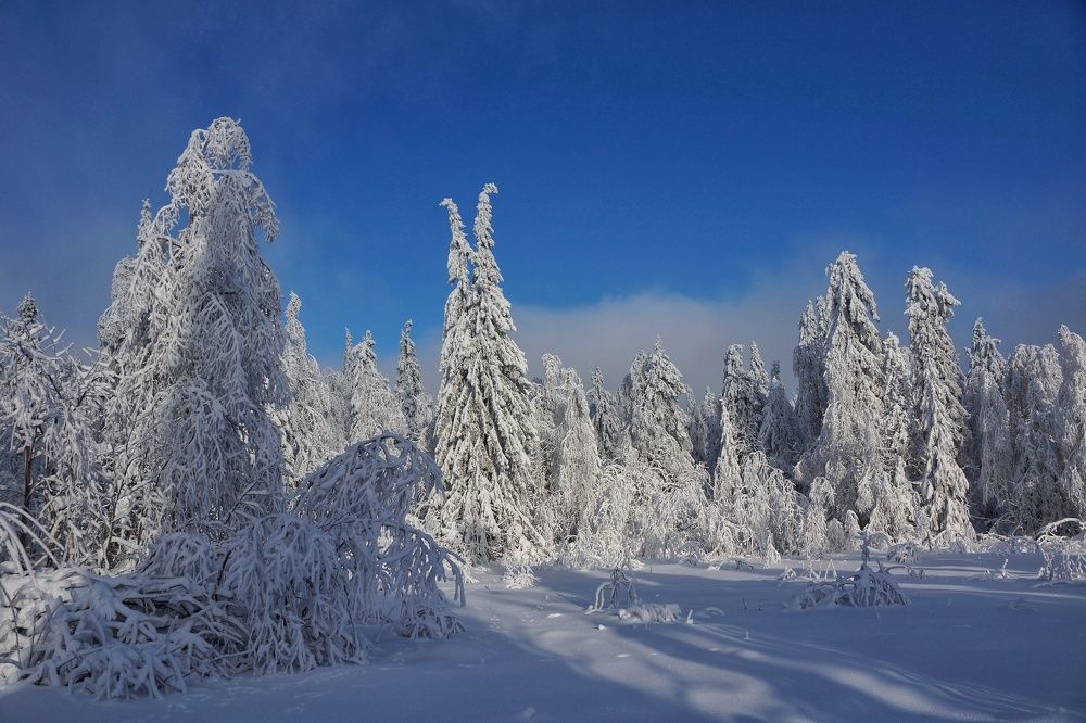 Зима в Каменном городе