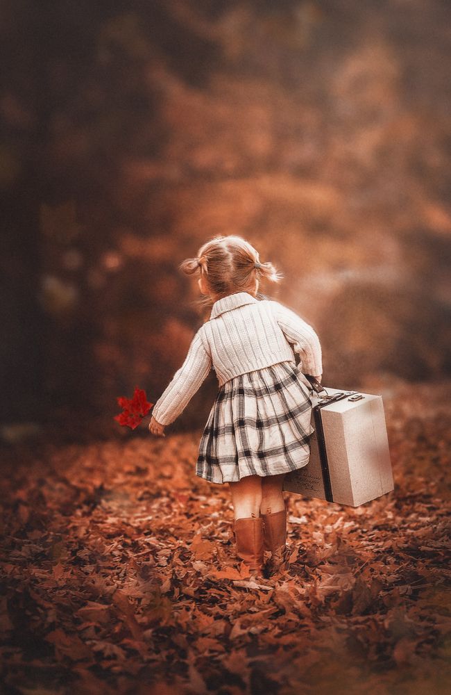 Дорога домой