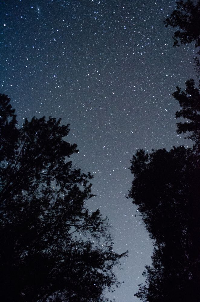 Photograph by Андрей Баранчук