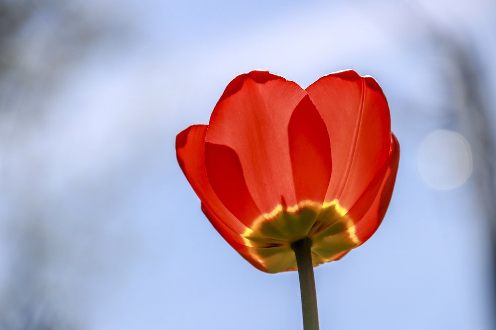 навстречу солнцу