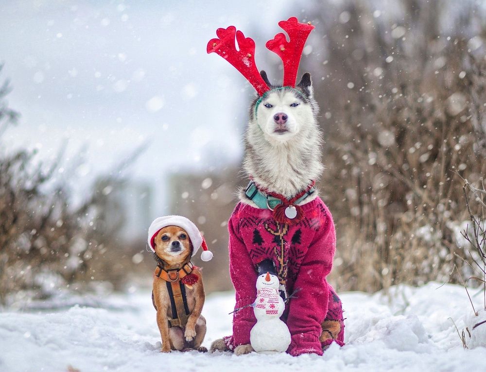 Фотография автора Мария Яропольская