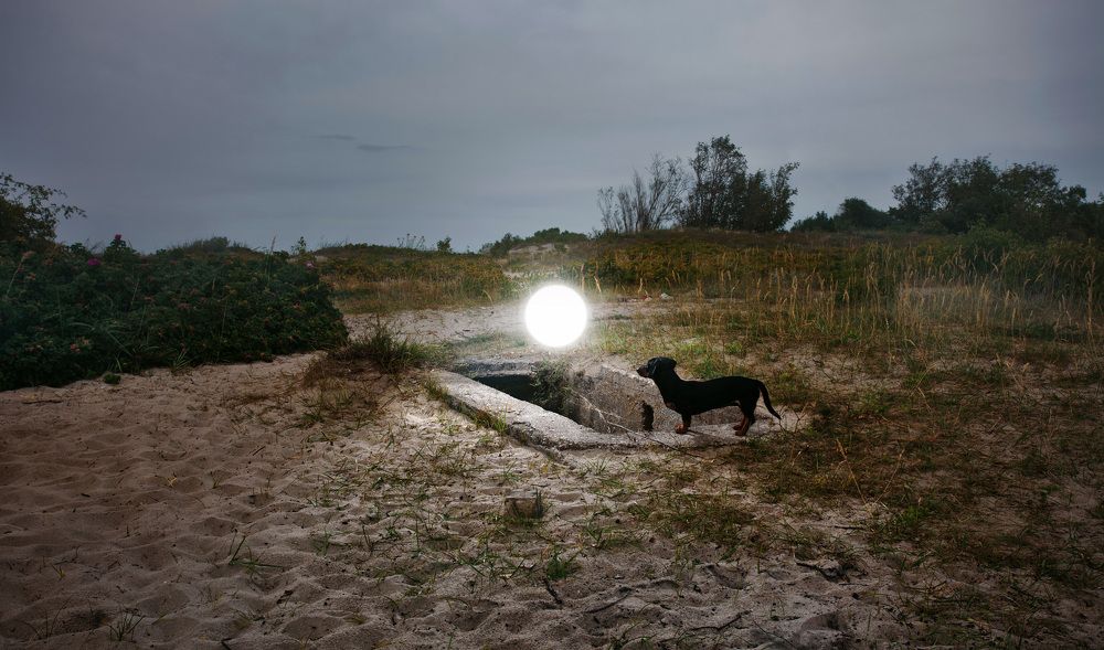 Неизвестная земля