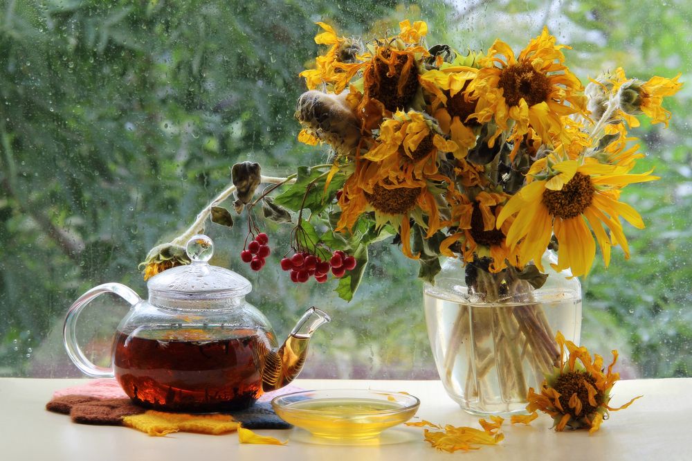 Фотография автора Дарья Шамакина