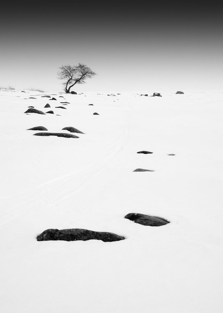 Photograph by Семенюк Василий