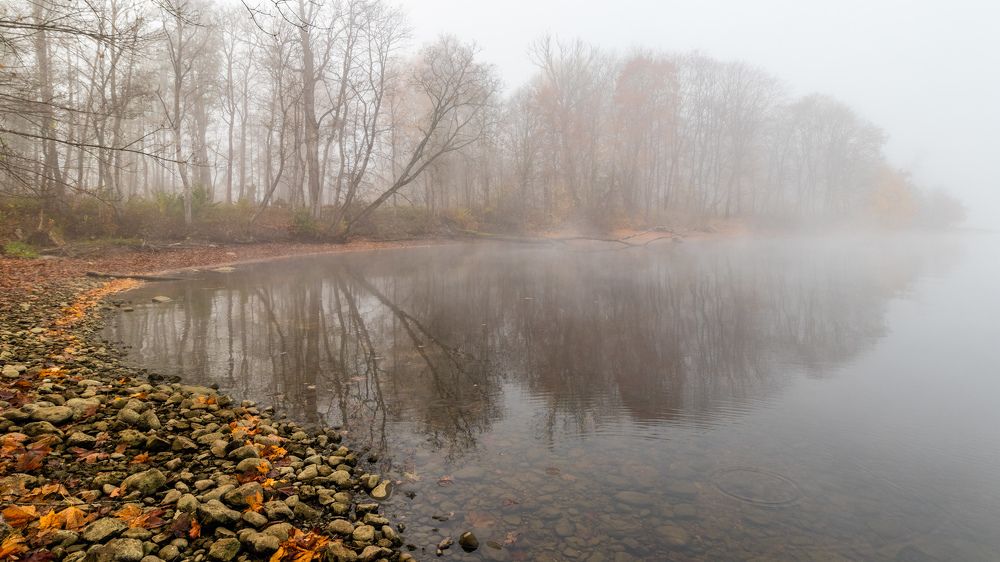 Late autumn view of the river, bare trees, thick, white mist and reflections in the water. Reflection, meditation time.