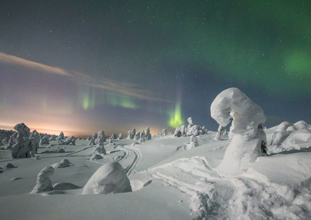 Снежная Аврора