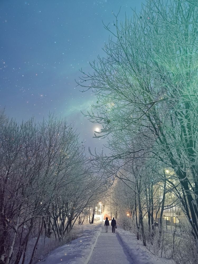 Морозный вечер