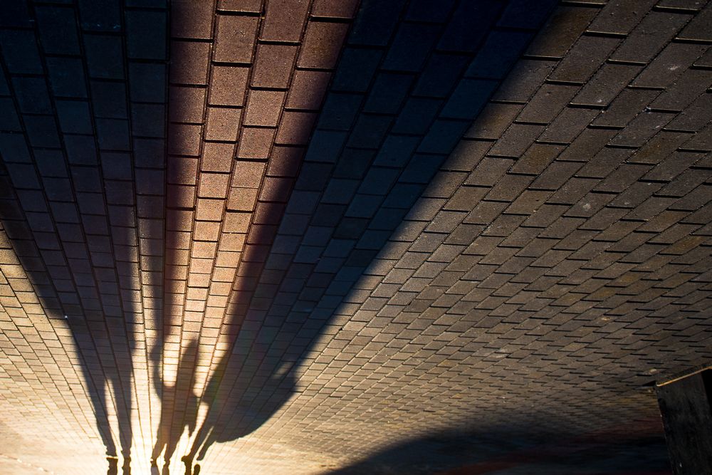 Photograph by Ирина Хромова