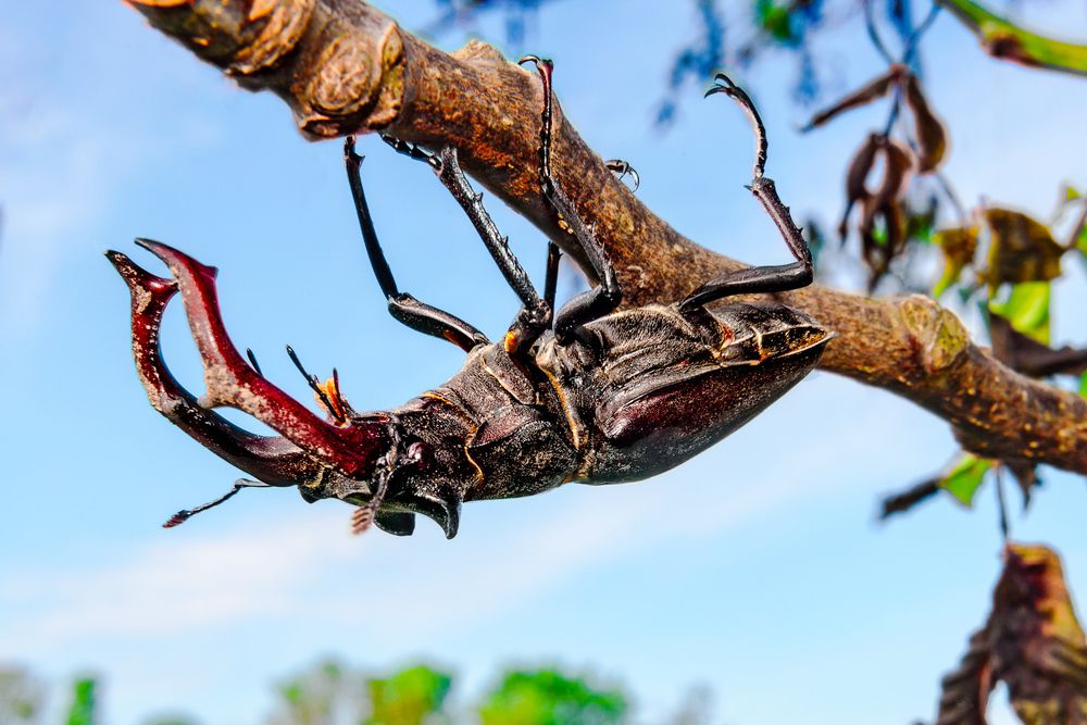 Photograph by Виталий Тимофеев