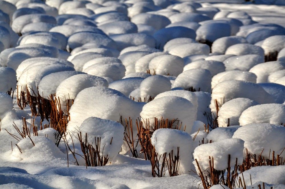 Распродажа зимних шапок