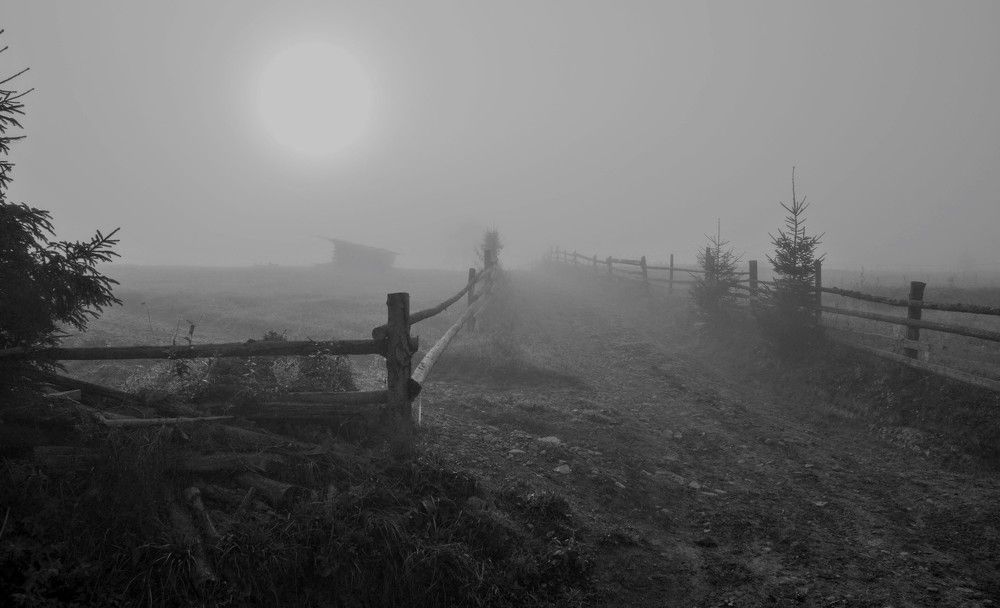 Туманный восход