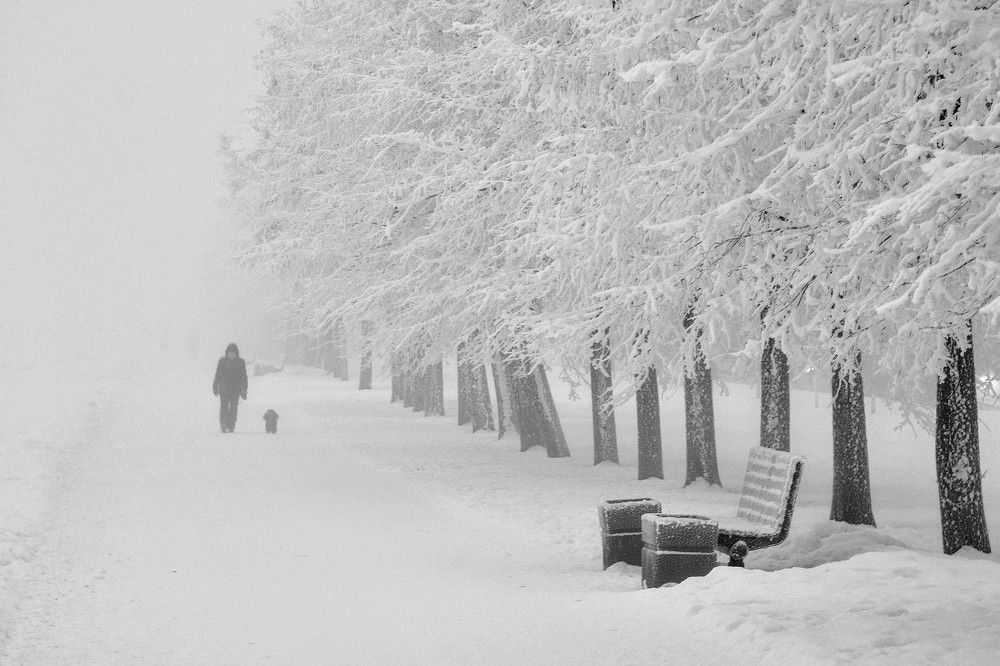 Photograph by Елена Боржковская